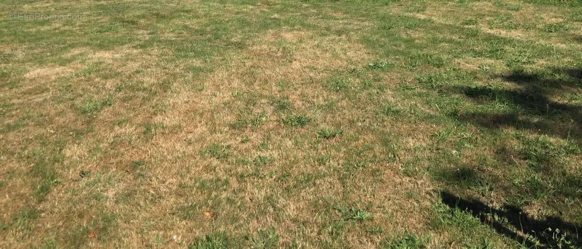 Terrain à PLOUGUERNEAU