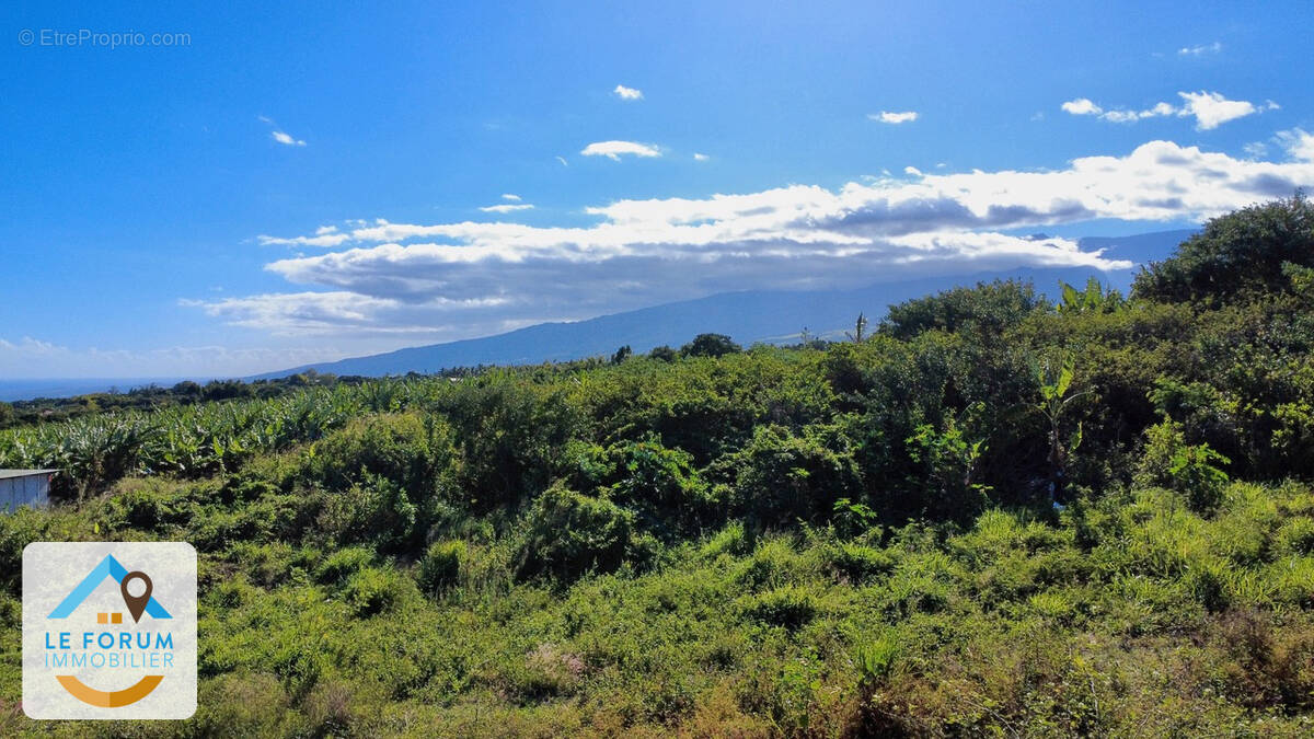 Terrain à SAINT-PIERRE