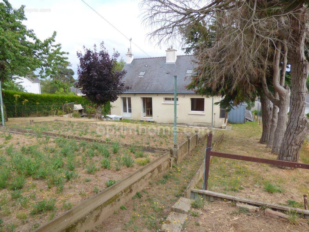 Maison à SAINT-NICOLAS-DE-REDON