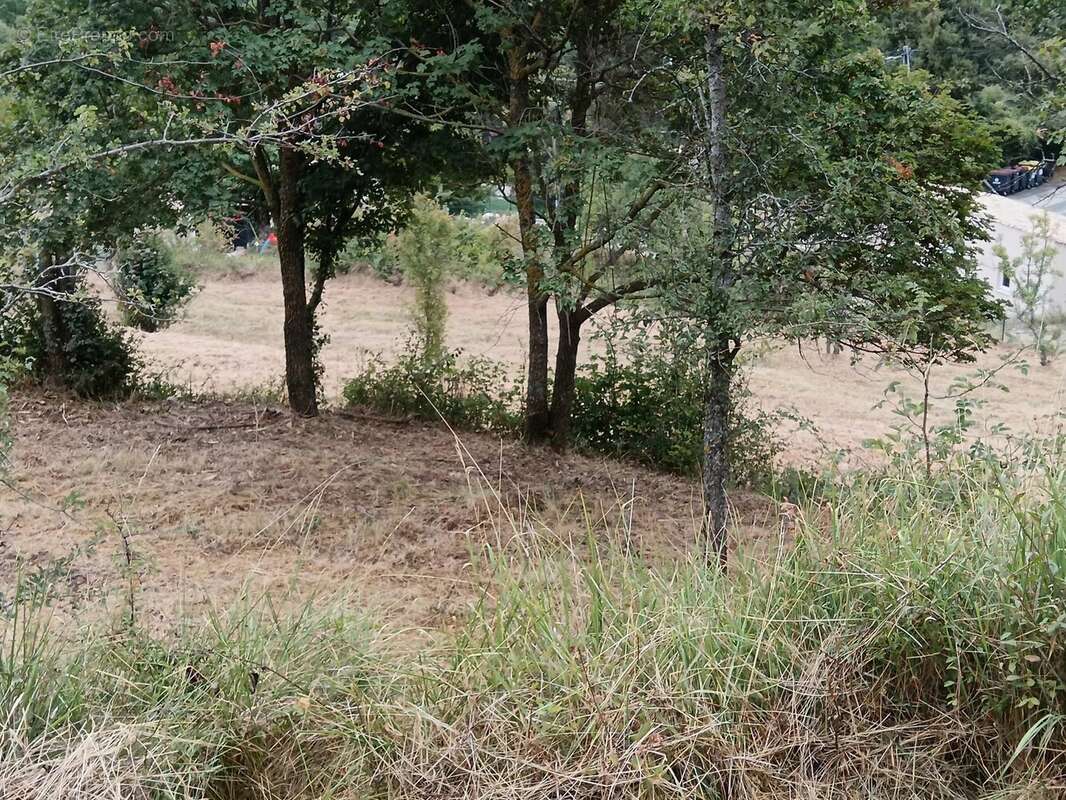 COURSEGOULES, RARE terrain constructible exposé sud - photo 6