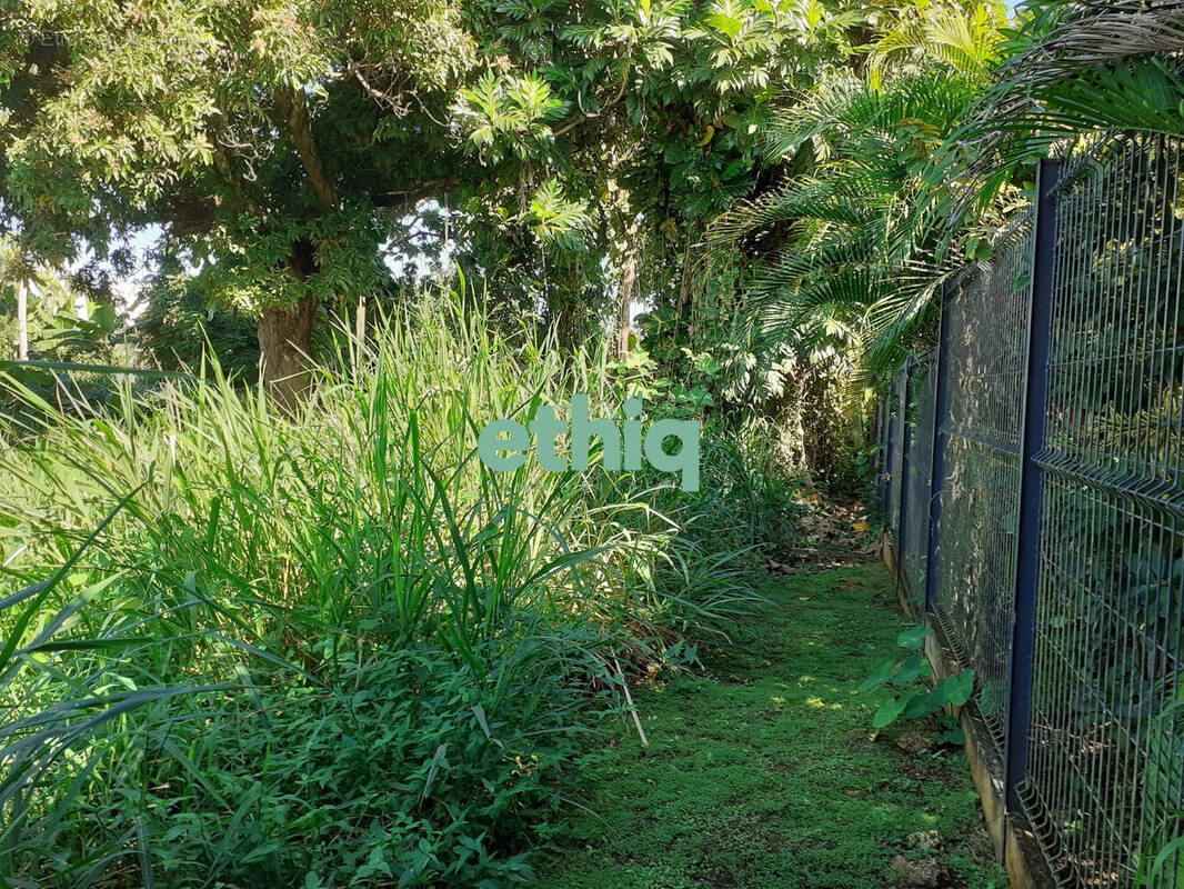 Terrain à CAPESTERRE-BELLE-EAU