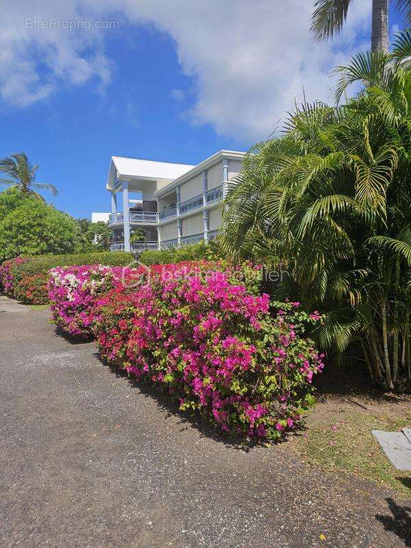 Appartement à SAINT-FRANCOIS