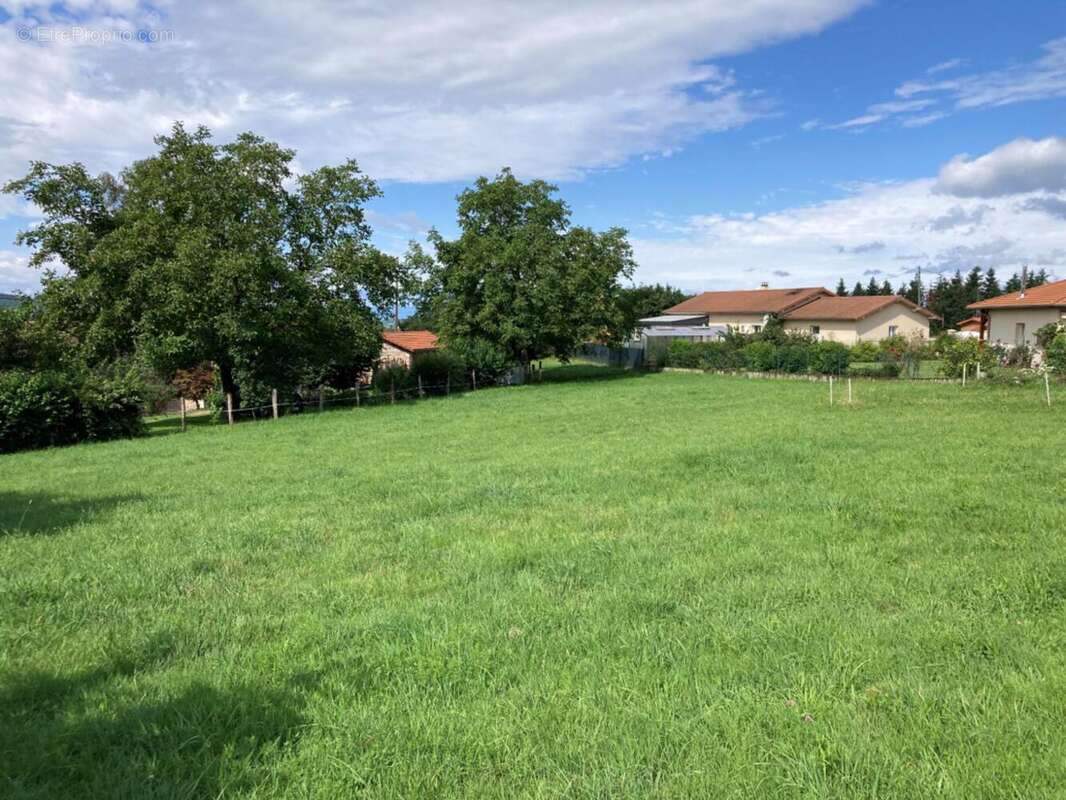 Photo 4 - Terrain à BELMONT-DE-LA-LOIRE