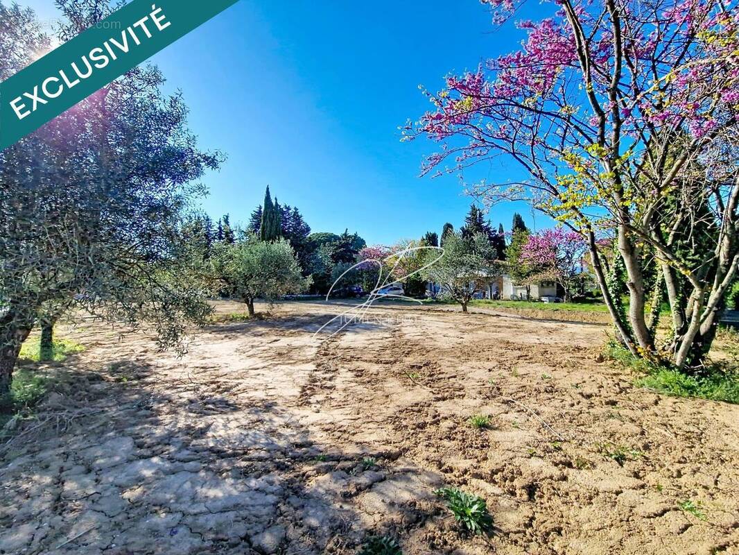 Photo 1 - Terrain à PUIMISSON