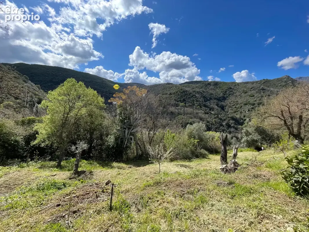 À acheter 109610 € à Piève : terrain avec L'Agence Bastia Balagne - photo 2