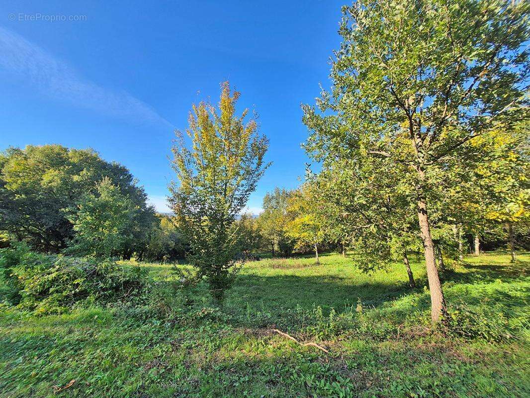 Terrain à LA CASSAGNE