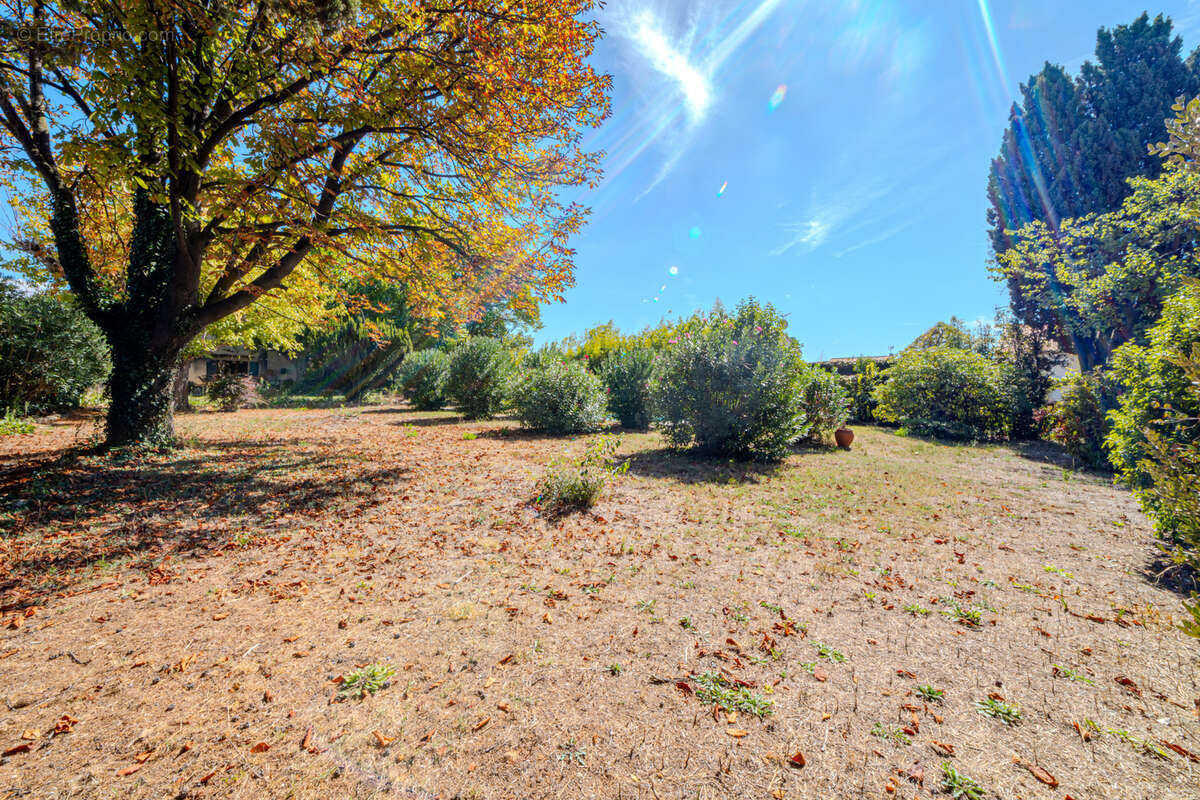 Maison à MONTPELLIER