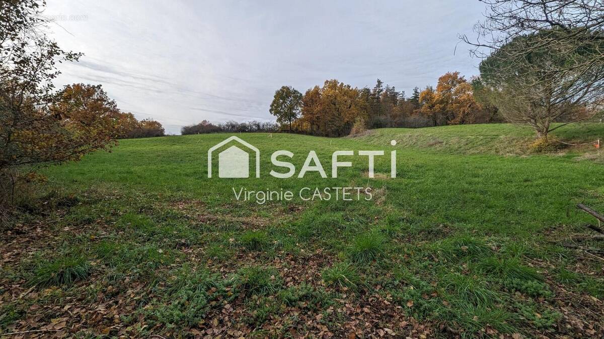 Photo 1 - Terrain à LA SALVETAT-BELMONTET