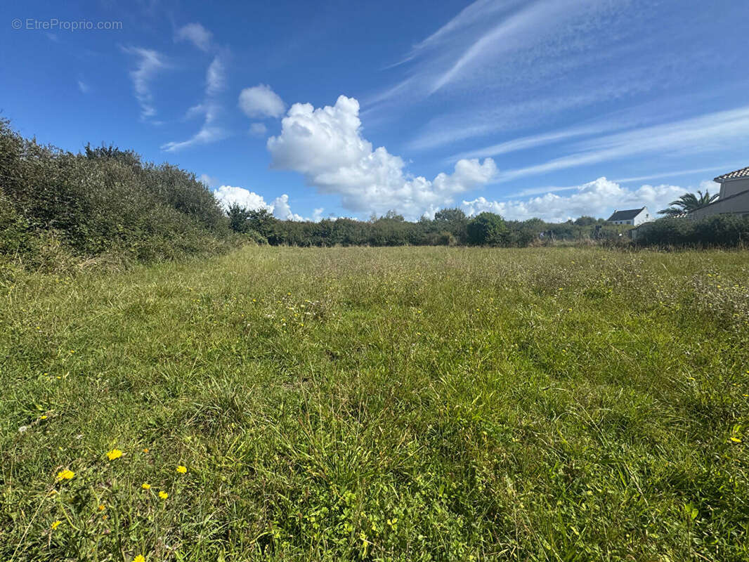 Terrain à CAMARET-SUR-MER