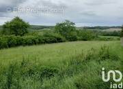 Photo 1 - Terrain à CHATEAU-RENARD