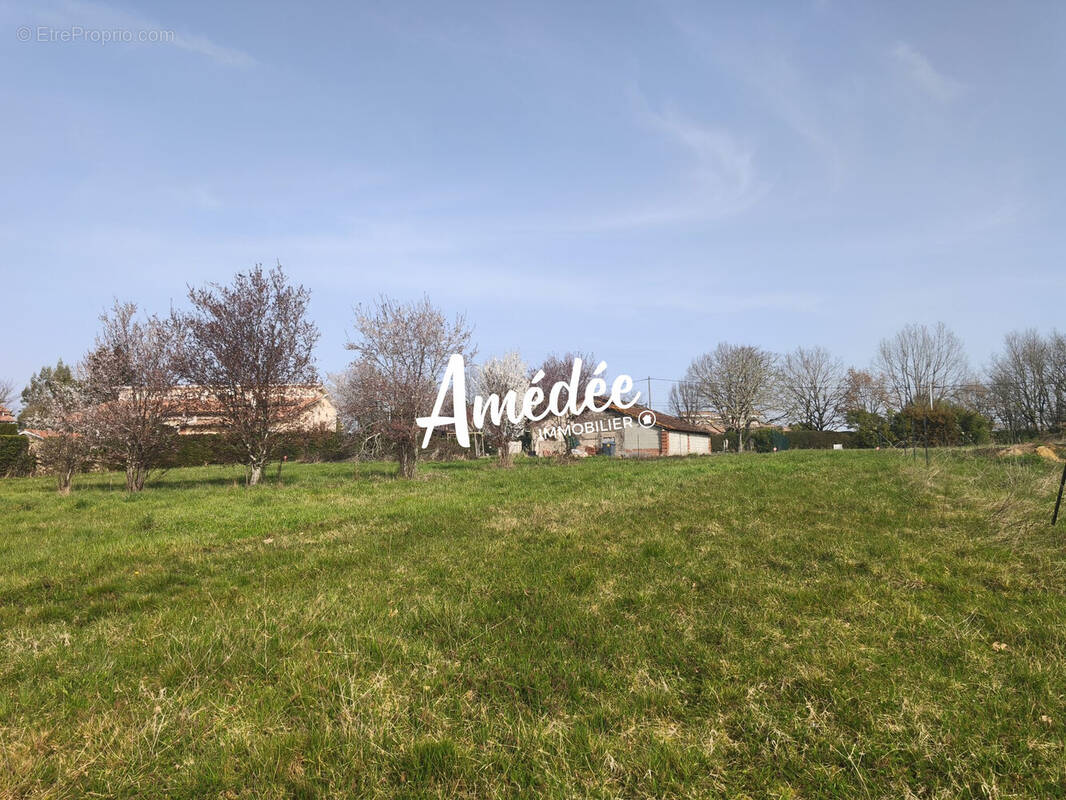 Terrain à MONTAUBAN
