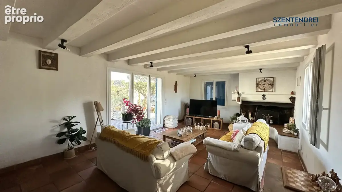 Szentendrei Immobilier - maison + dépendance - LUNEL - Grand terrain 