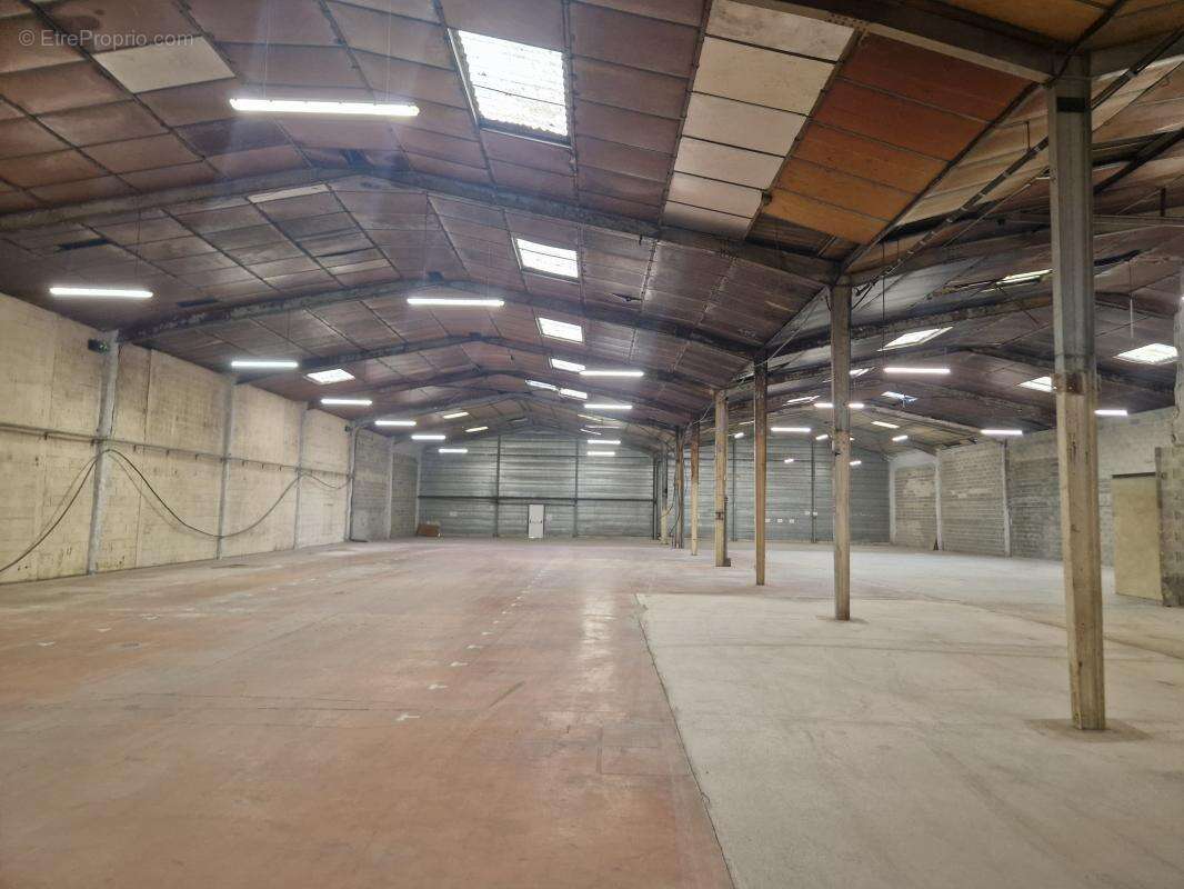 Commerce à TERRASSON-LAVILLEDIEU