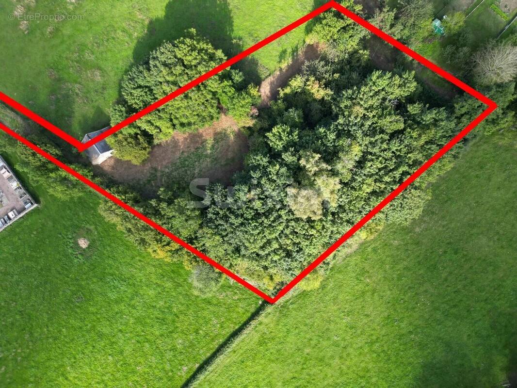 Terrain à QUARRE-LES-TOMBES