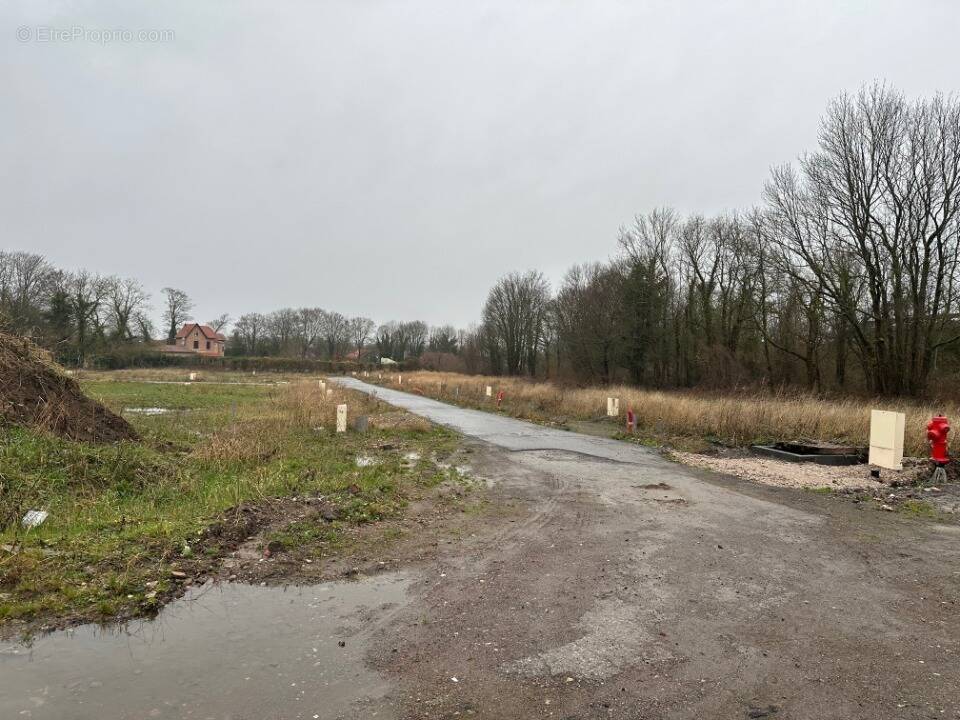 Terrain à HENIN-BEAUMONT