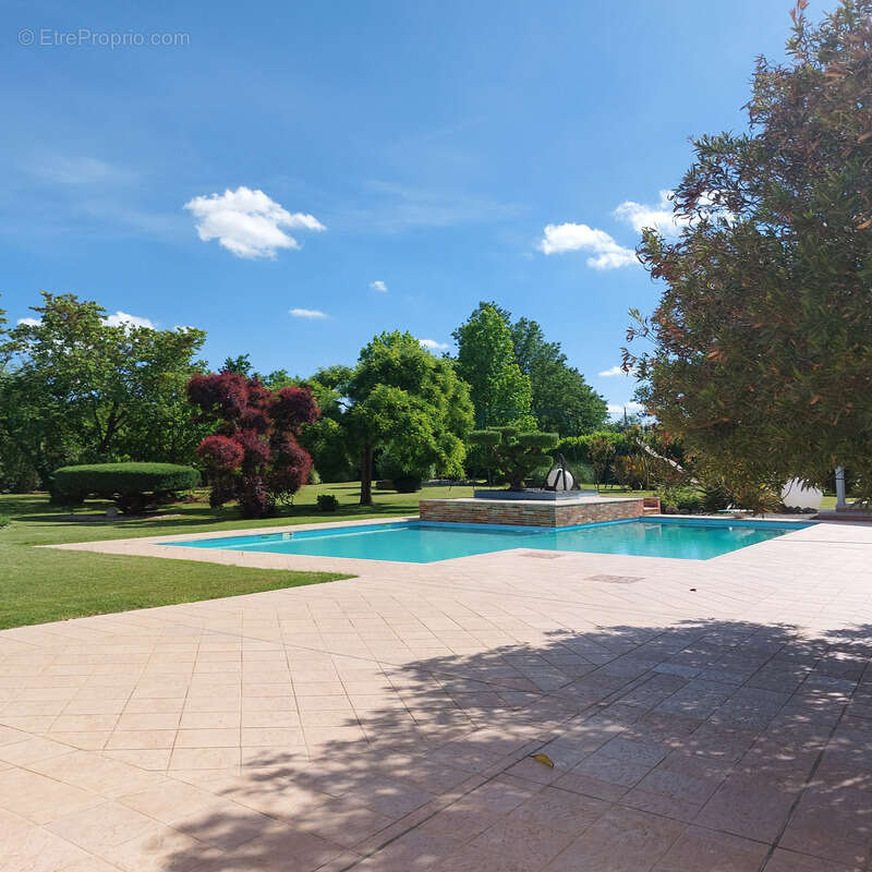 Maison à vendre 13 pièces MONTAUBAN (82), salle de reception, parking, bureaux, cave, dépendances,  parc de 8000m2, 2 entrées in - photo 2