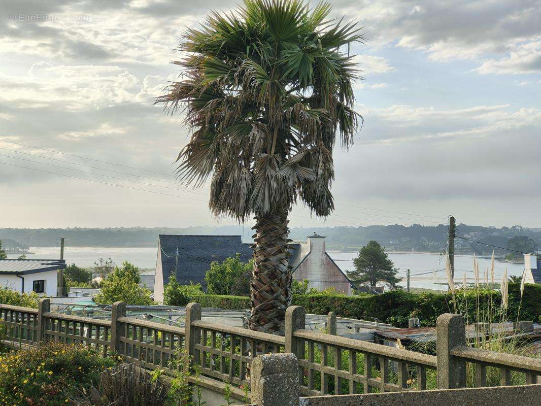 MaIson mitoyenne avec vue mer sur l' Ile Grande - photo 5