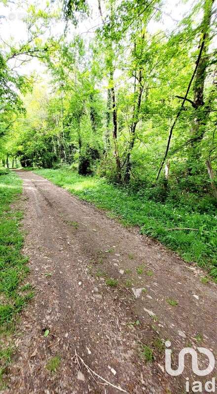 Photo 4 - Terrain à VILLENEUVE-SUR-BELLOT