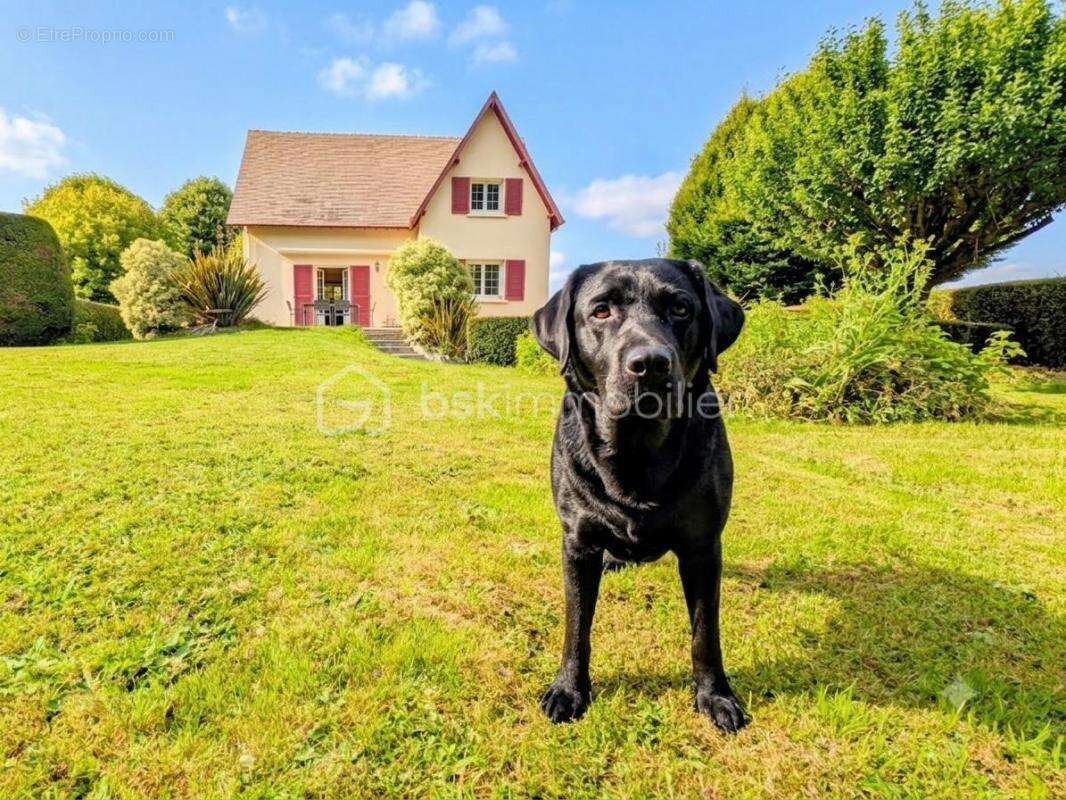 Maison Familiale sans travaux à Douvres la Délivrande - photo 2