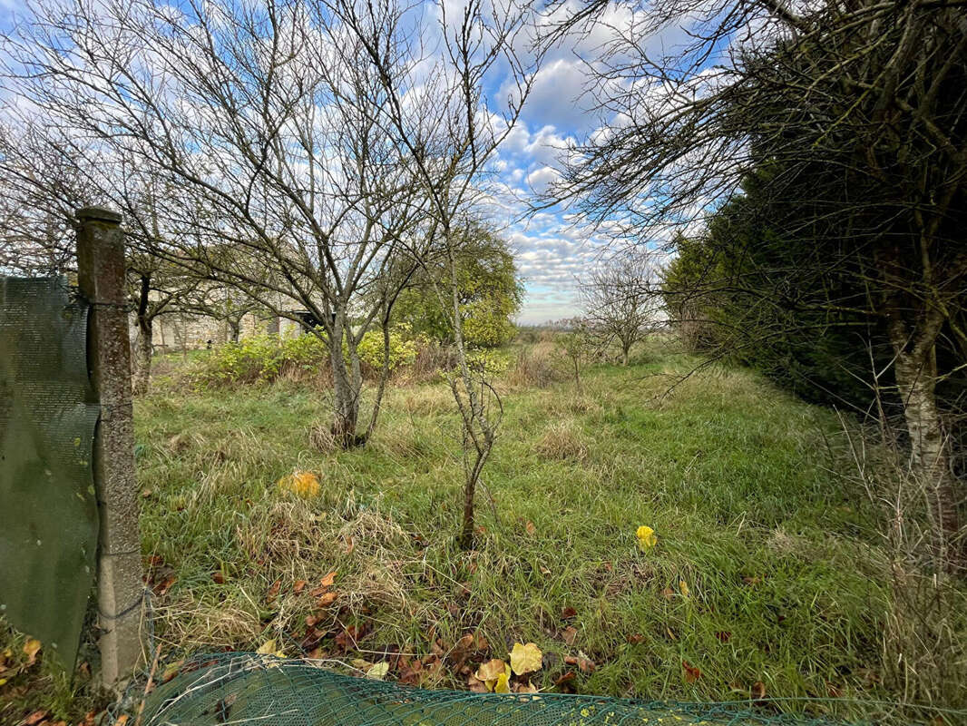 Terrain à LA CHAPELLE-LA-REINE
