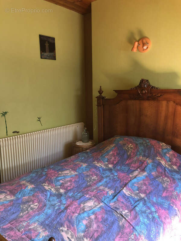Maison à flanc de colline avec plus d'un hectare de terrain - photo 18