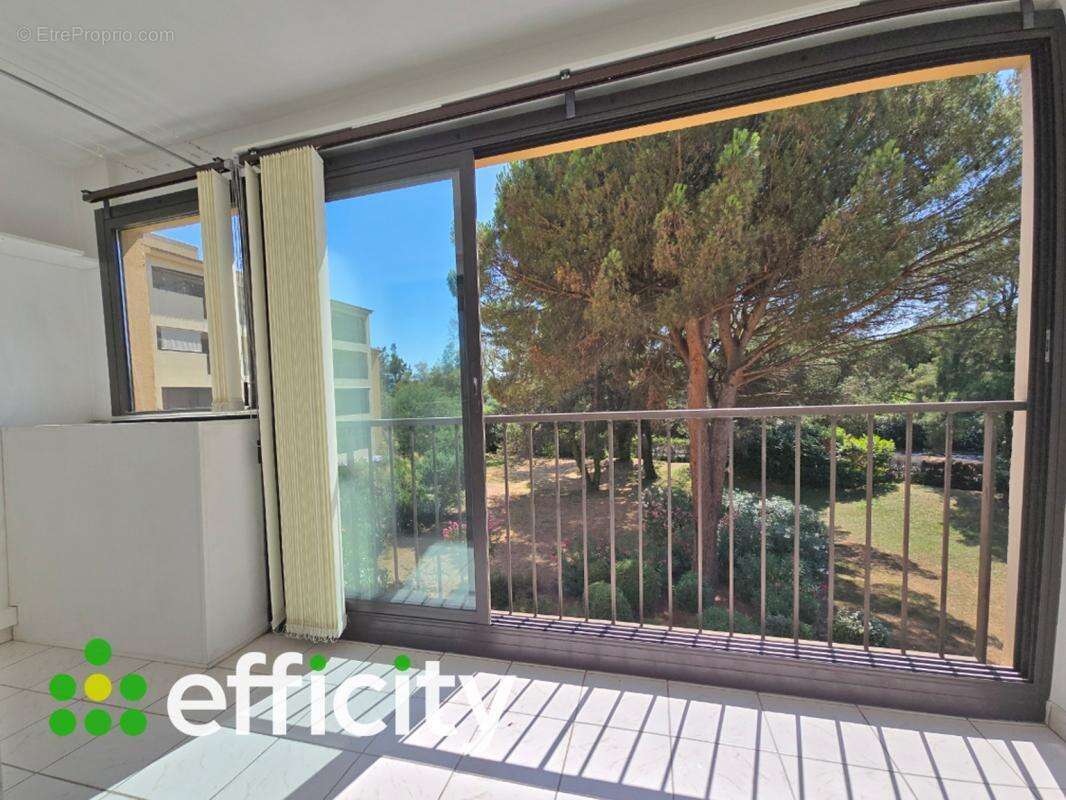 Appartement - photo 2