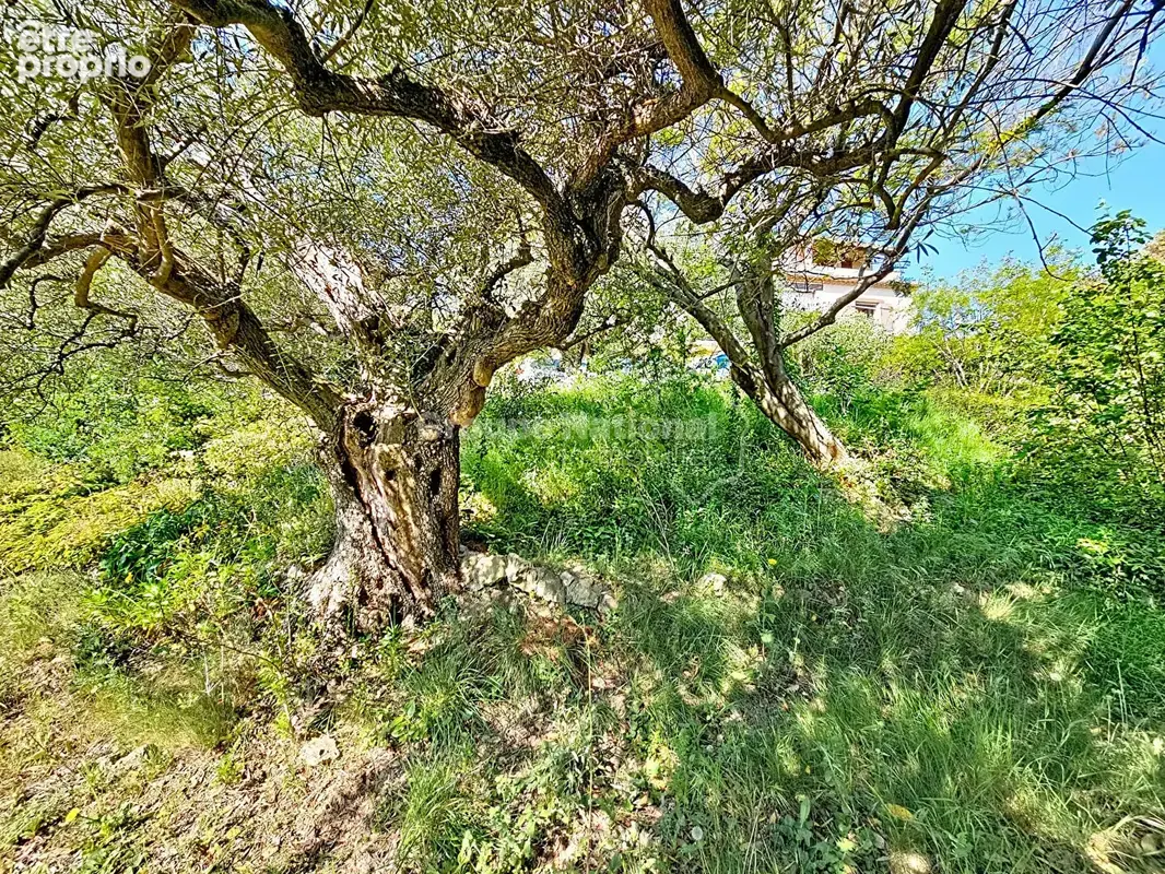 Maison Montauroux 4 pièce(s) - photo 10
