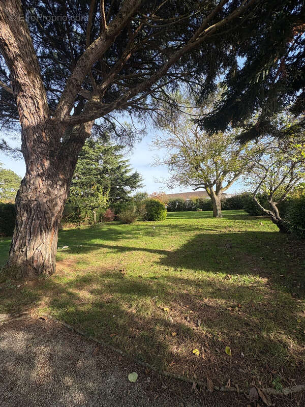 Maison à SAINT-VITE