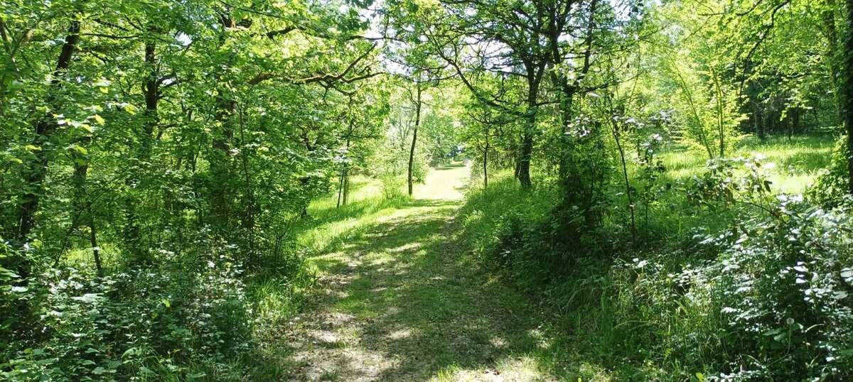 Maison à MONTAUT-LES-CRENEAUX