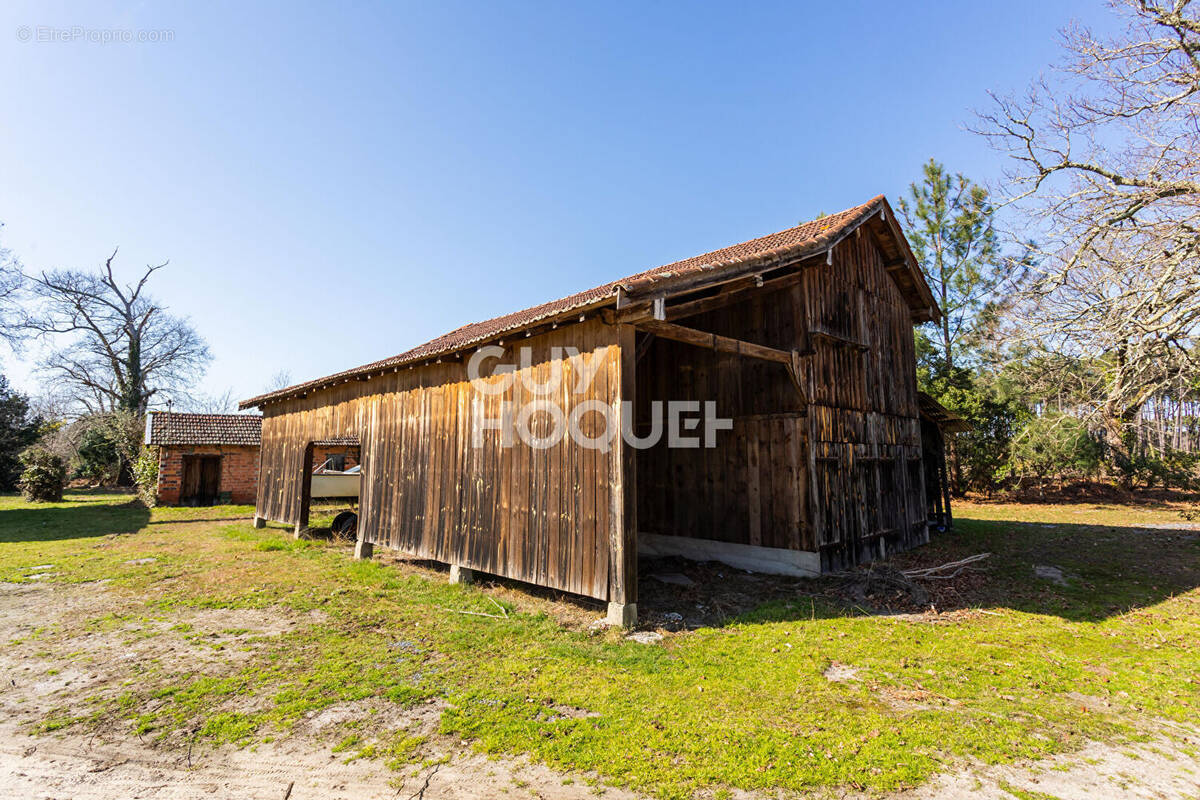 Maison à BISCARROSSE