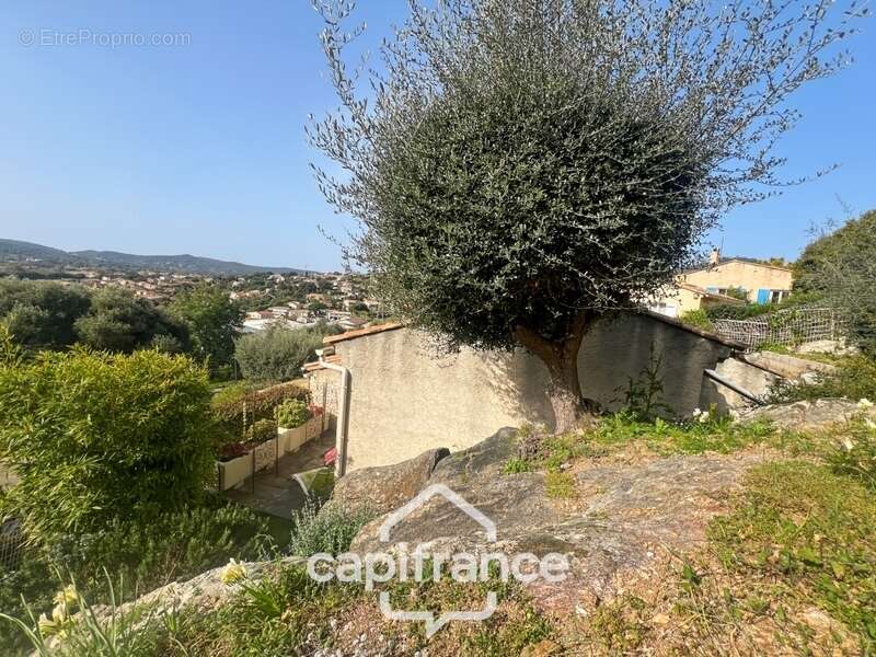 Maison à LE LAVANDOU