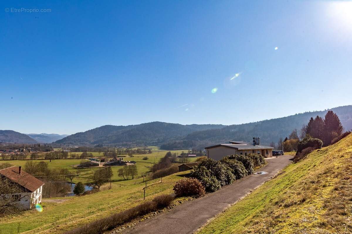 RUPT SUR MOSELLE (88)A vendre propriété T 10 pièces de 195m² sur sous sol + 4 box à chevaux +rucher, terrain 3.6 hectares - photo 7