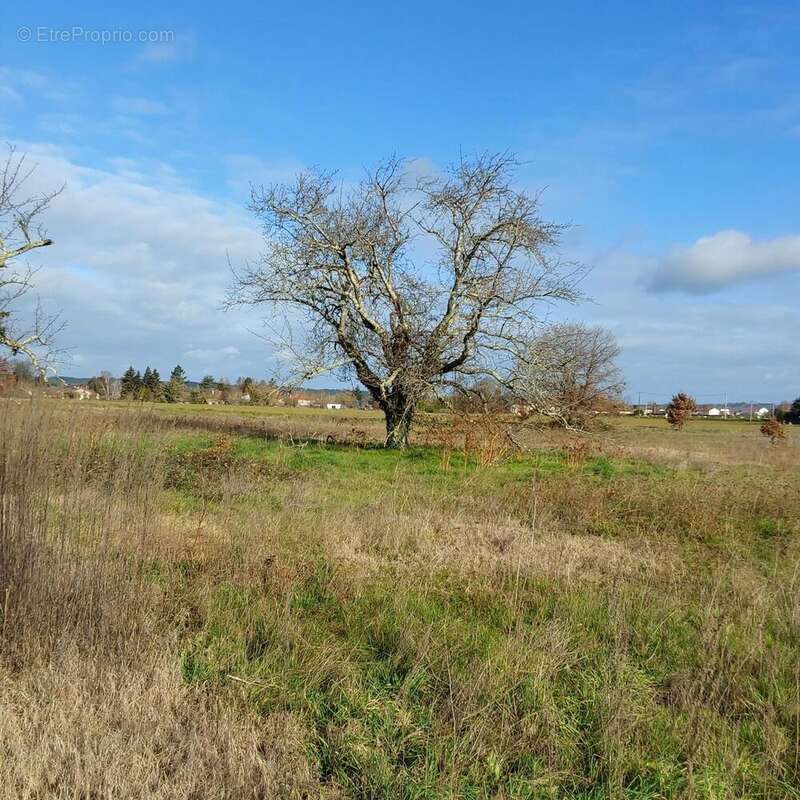 Photo 3 - Terrain à SAINT-MEDARD-DE-MUSSIDAN