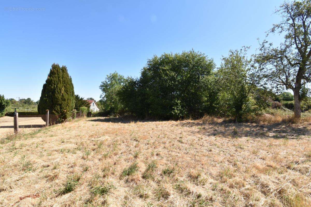 Maison  à rénover, à fort potentiel à la campagne, Montchevrier (36) - photo 10