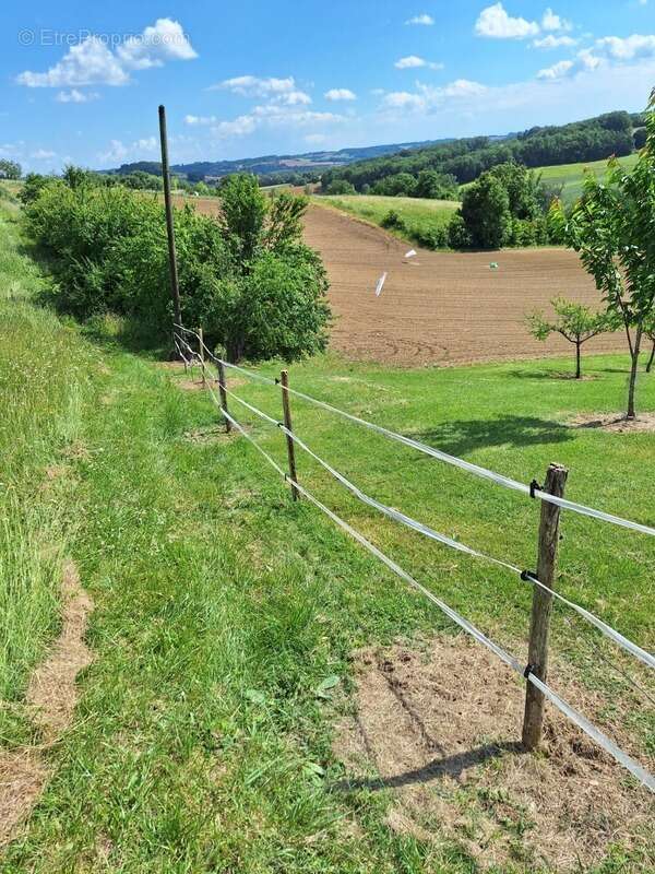 Terrain agricole sur 6 hectares, bois, source, compteur d'eau, clos, abri animaux, chevaux - photo 7
