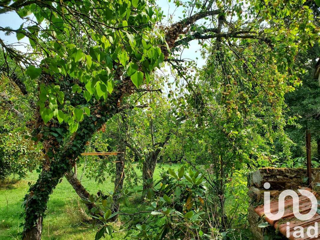 Photo 6 - Maison à SAINT-SAUVIER