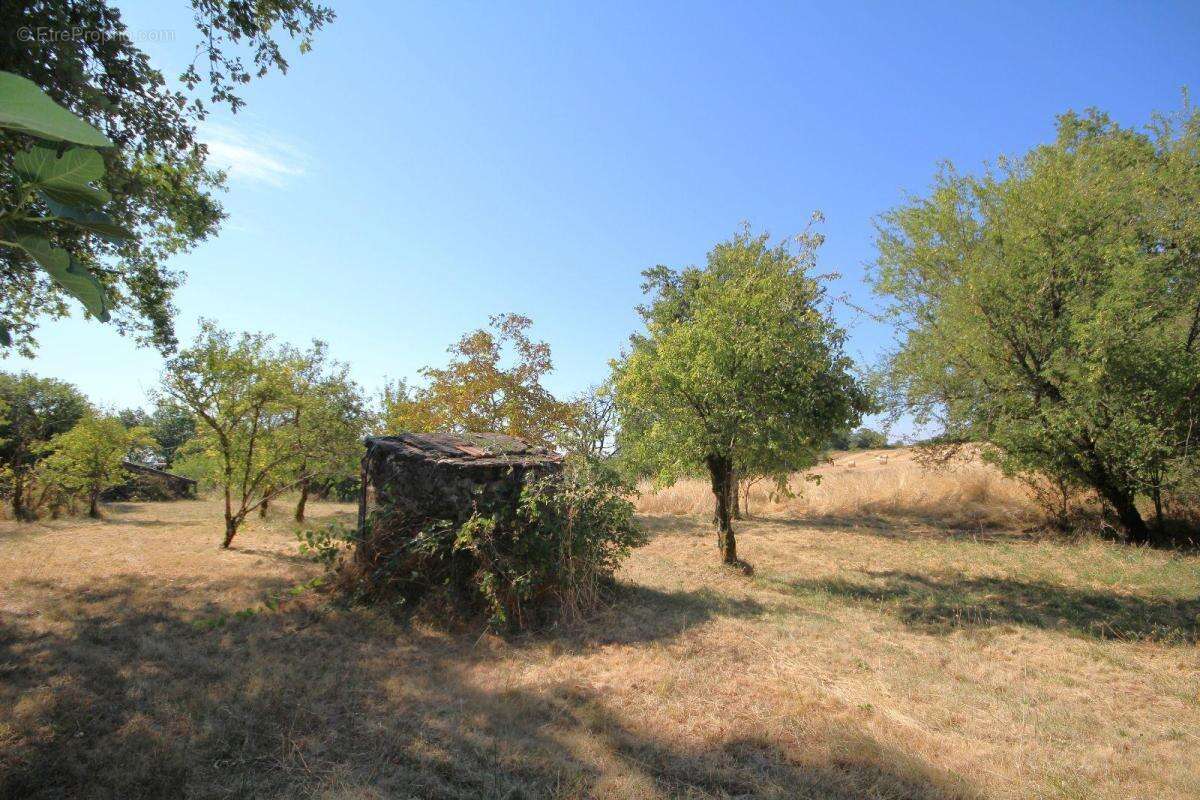 Maison de campagne - photo 28