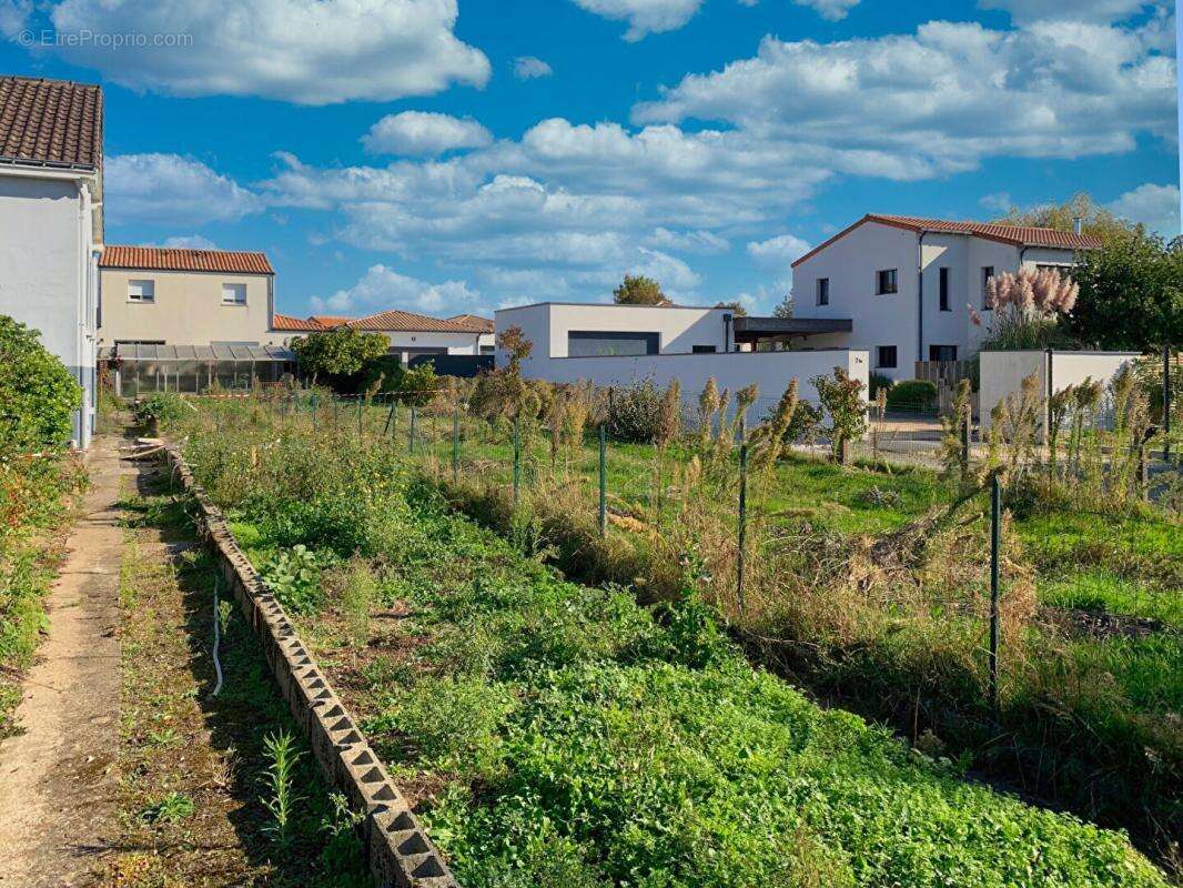Terrain à LA HAIE-FOUASSIERE