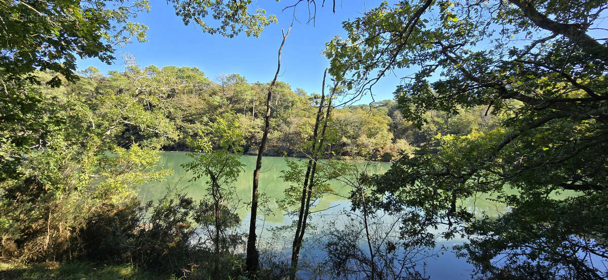 Maison à MOELAN-SUR-MER