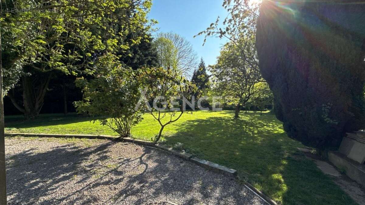 Maison à THEROUANNE