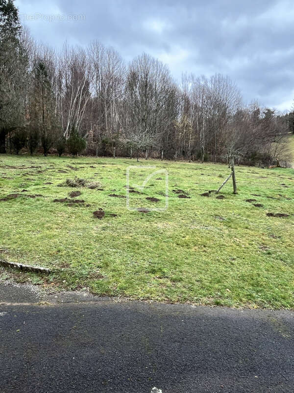 A vendre Maison 118 m2 avec Garage + dépendance sur terrain de 2593m2 - photo 27