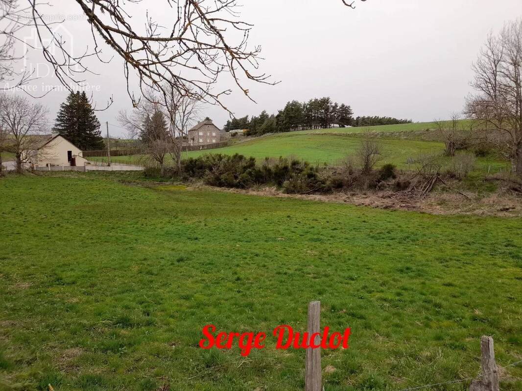 Terrain à LES LAUBIES