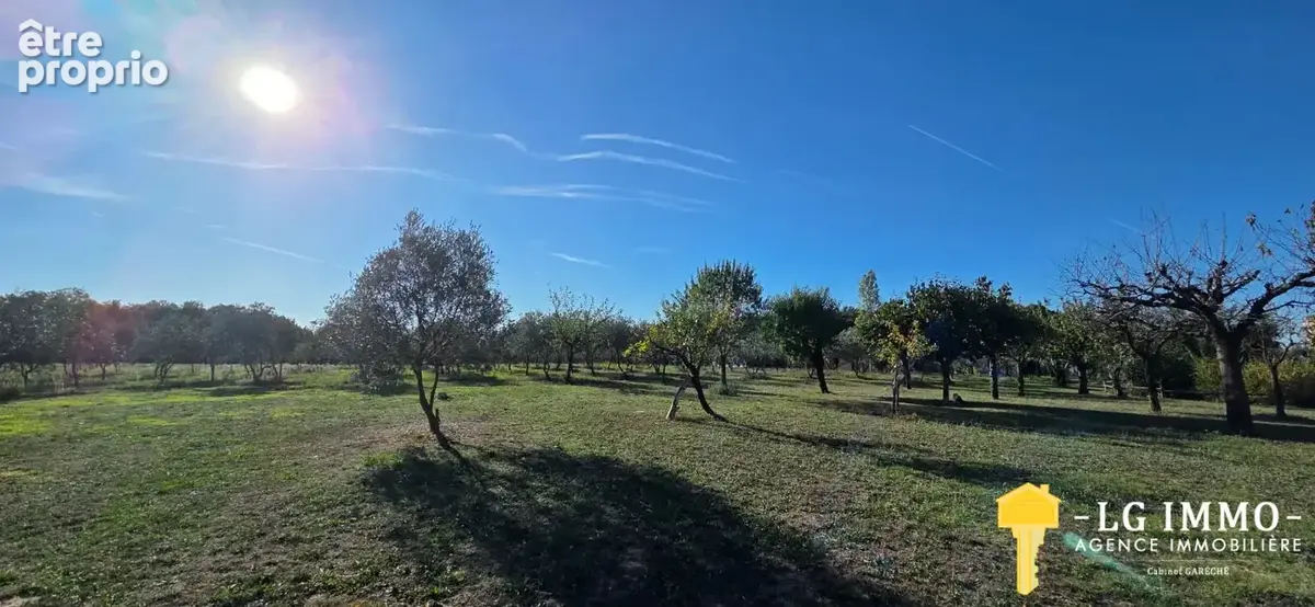 Propriété charentaise avec oliveraie, 4ha de terrain, vue estuaire - photo 31