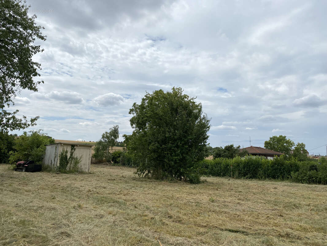 Terrain à CHAMPIGNY