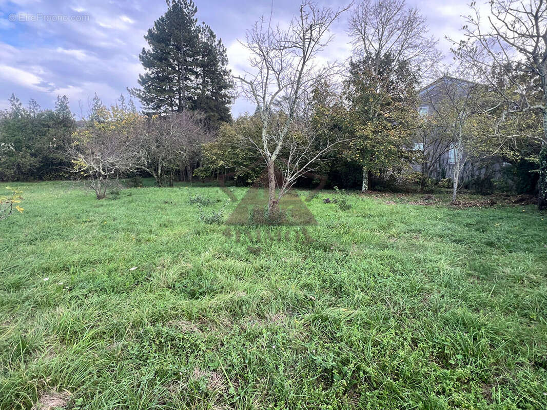 Terrain St Paul Le Jeune 1 050 m² - photo 2