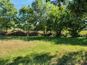 Terrain à PEZILLA-LA-RIVIERE