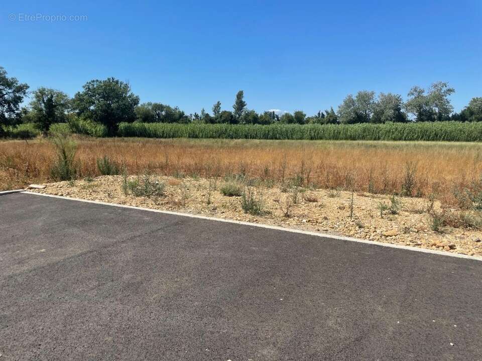 Terrain à SAINT-MARTIN-DE-CRAU