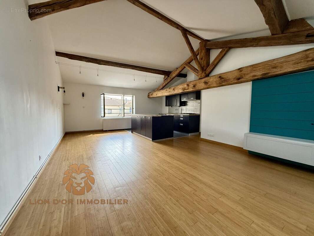 Appartement à NEUVILLE-SUR-SAONE