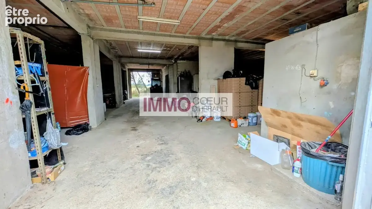 Villa de style vigneronne  218 m²  terrain de 3 980 m²  saint-andré-de-sangonis - photo 16