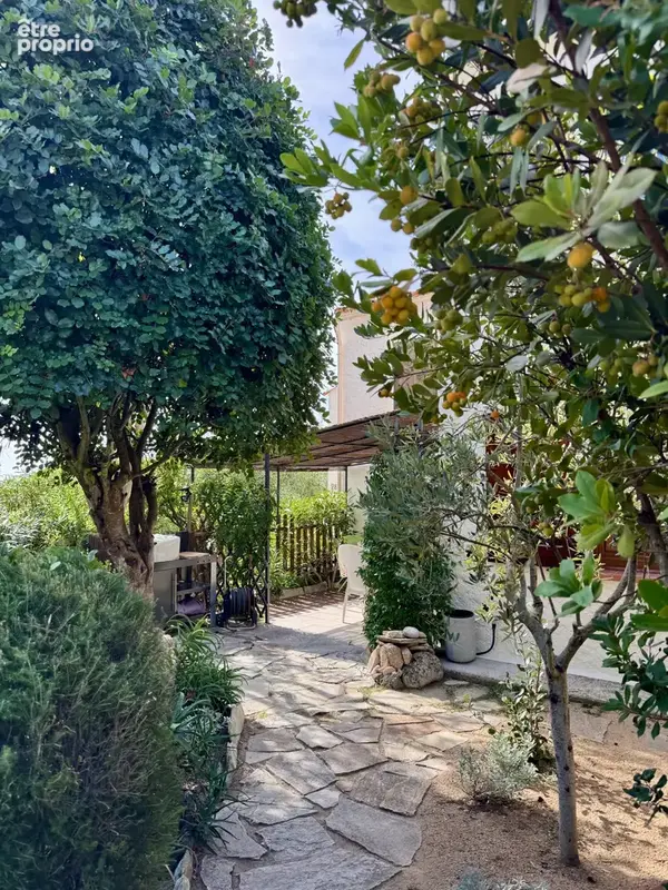 Maison T3 vue mer - Les Hameaux de Sampiero - photo 41